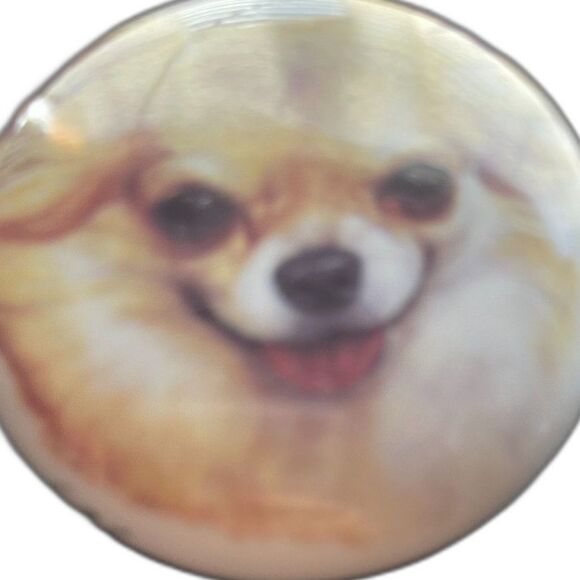 Vintage Chihuahua Long Hair Dog Fine Porcelain Paperweight ~Signed ~Gift - Picture 2 of 8